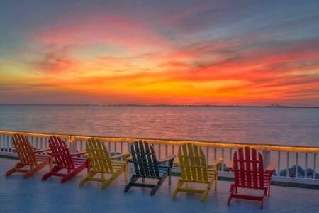 The Hemingway Subtropical Luxury On The Tampa Bay别墅 外观 照片